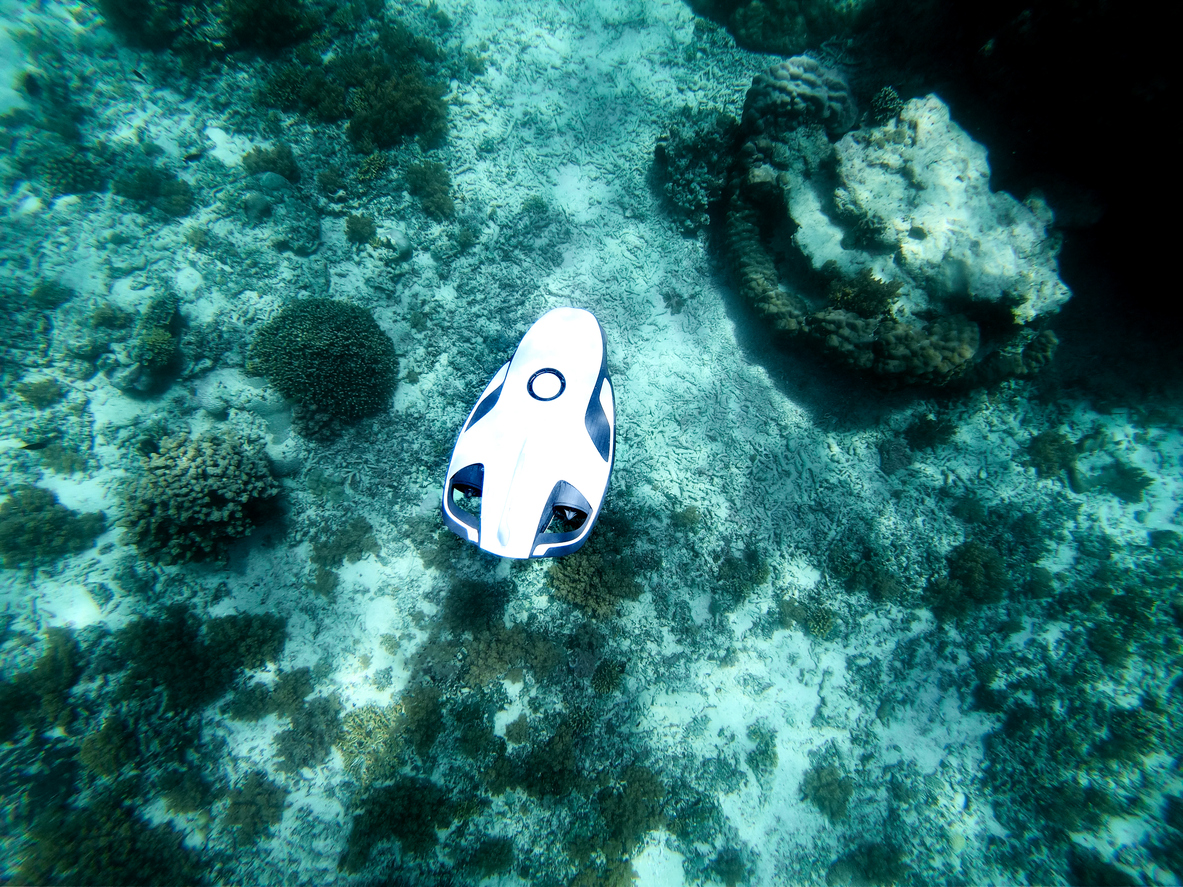 marine surveyor